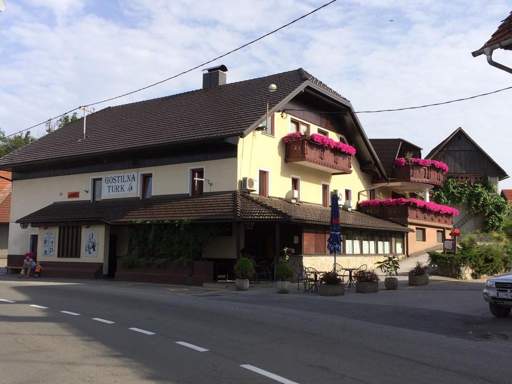 Hotel Gostilna Turk Hotedrsica Exterior foto