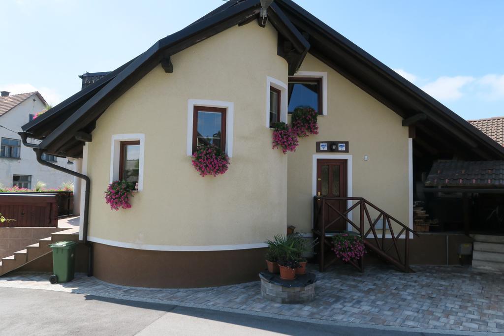 Hotel Gostilna Turk Hotedrsica Exterior foto